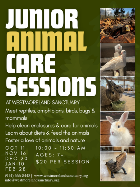Animal Care Sessions at Westmoreland Sanctuary